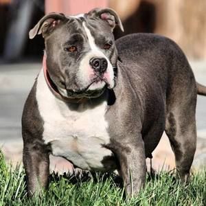 Meet your Posher, Ty